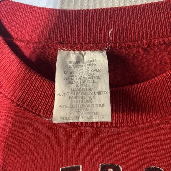 VTG Detroit Red Wings Sweatshirt Youth 10-12 NHL Made in USA 50/50‎ Distressed - Picture 2 of 14